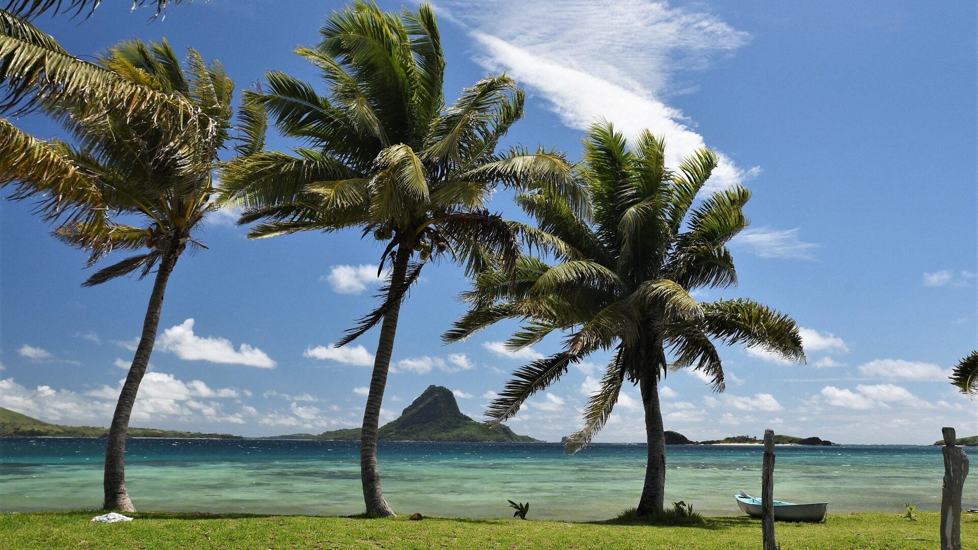 Fidschi, Tropisch, Insel, Palme, Tropen