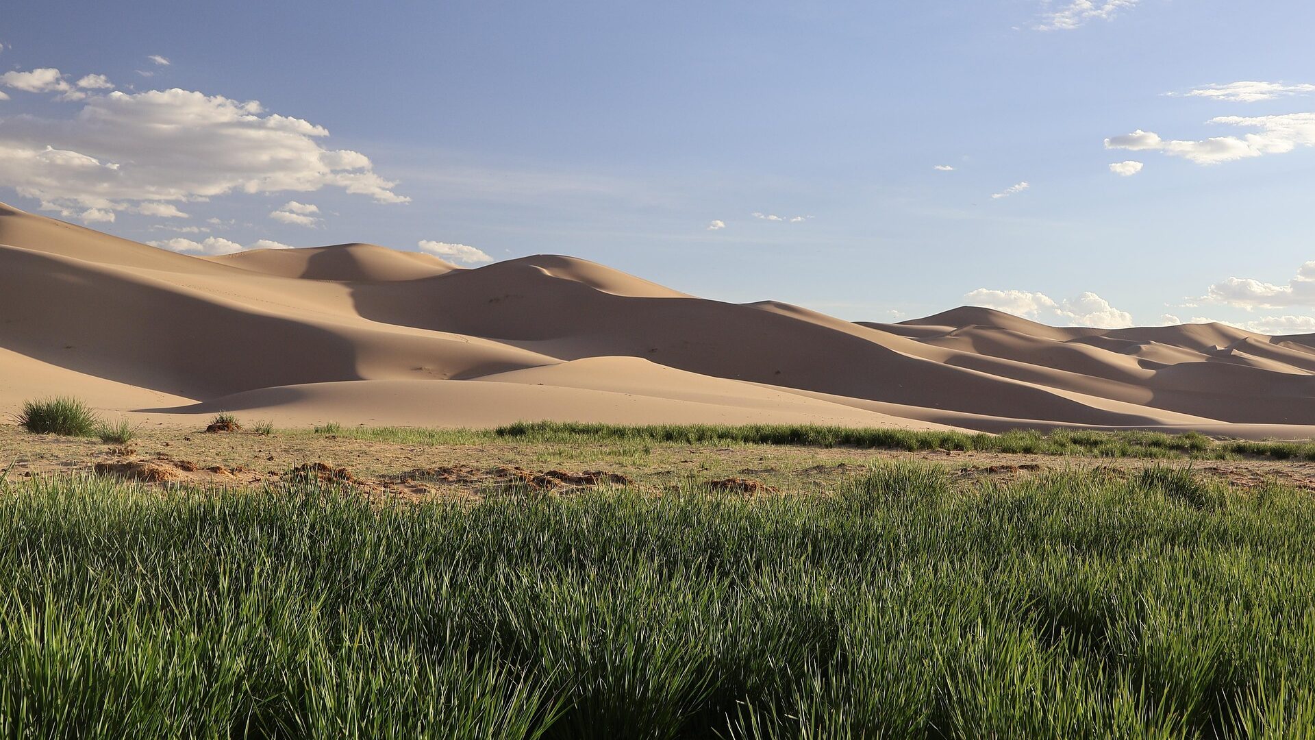 Mongolei, Dünen, Sand, Wüste, Natur