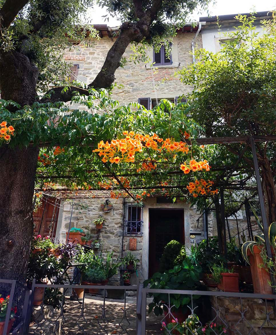 Hinterhof in Cortona