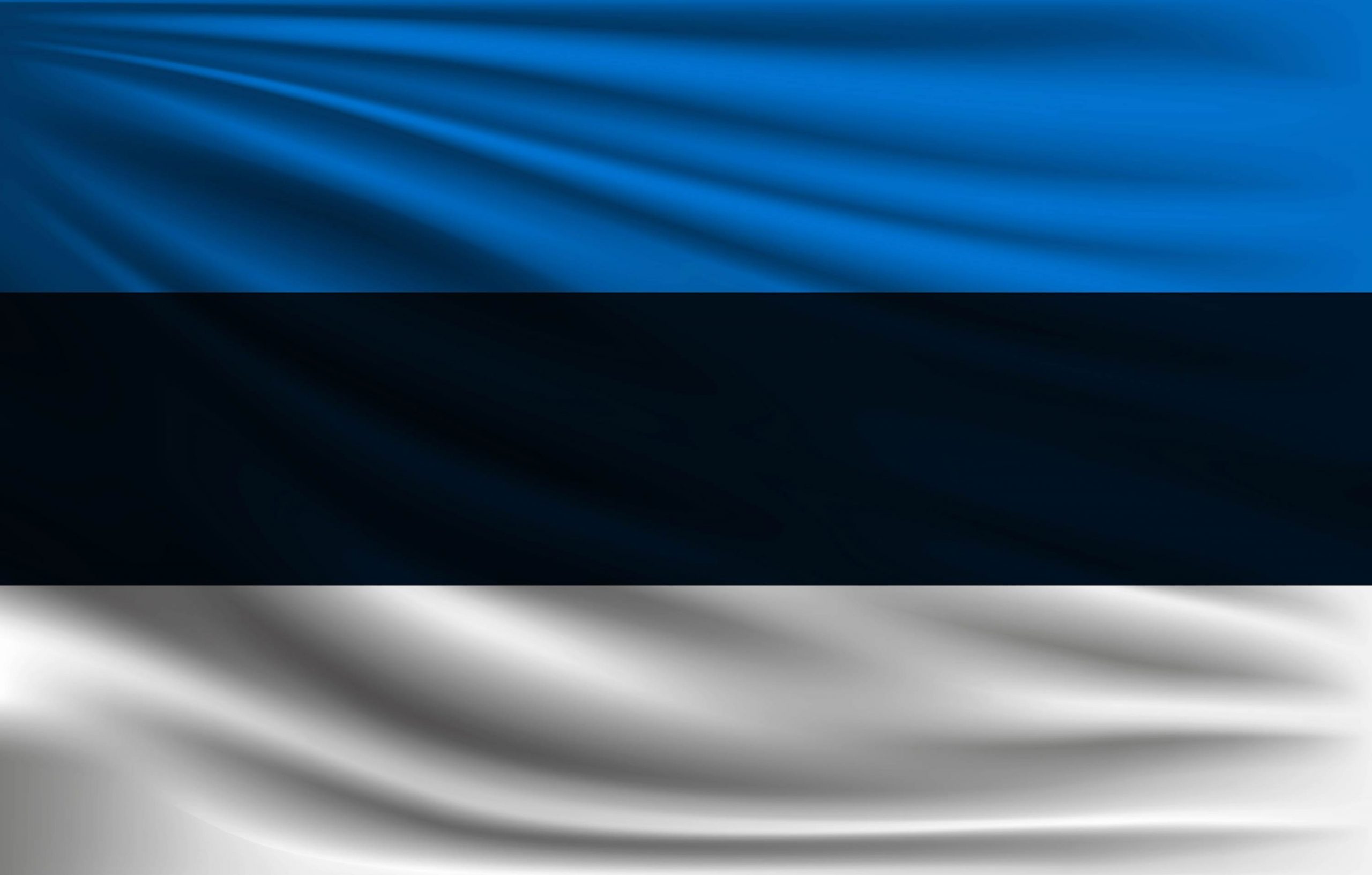 Estland Flagge