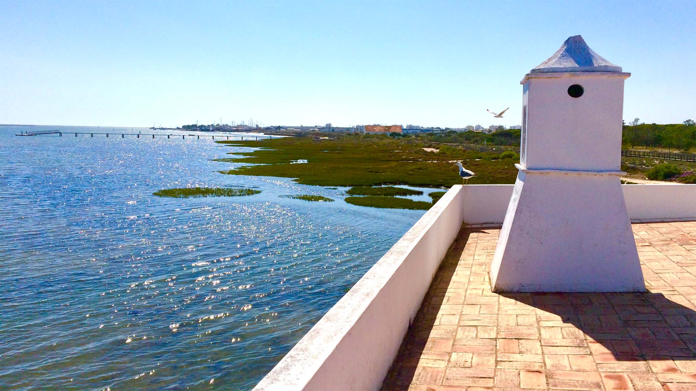 Naturschutzgebiet Castro Marim und Vila Real de Santo Antonio Marshes Naturschutzgebiet Castro Marim und Vila Real de Santo Antonio Marshes