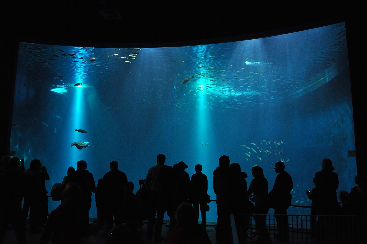 Ozeaneum in Stralsund