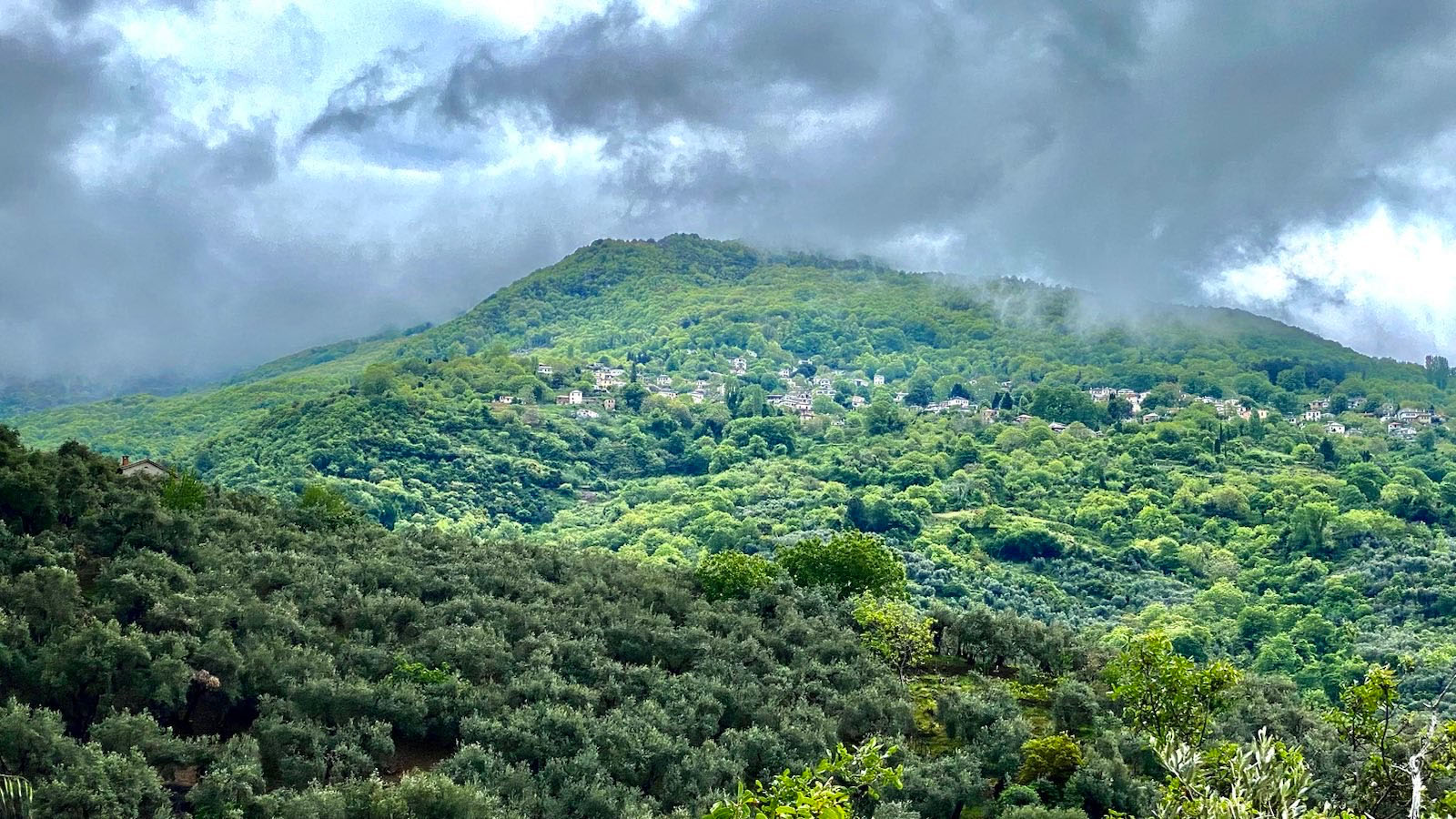Dschungelartiger Wald auf Pilion, Pagasitischer Golf