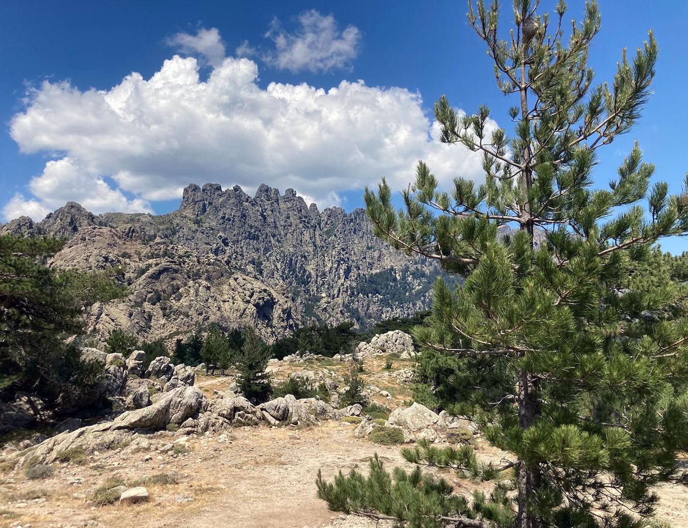 Aiguilles de Bavella / Bavella-Massiv in der Nähe von Porto-Vecchio